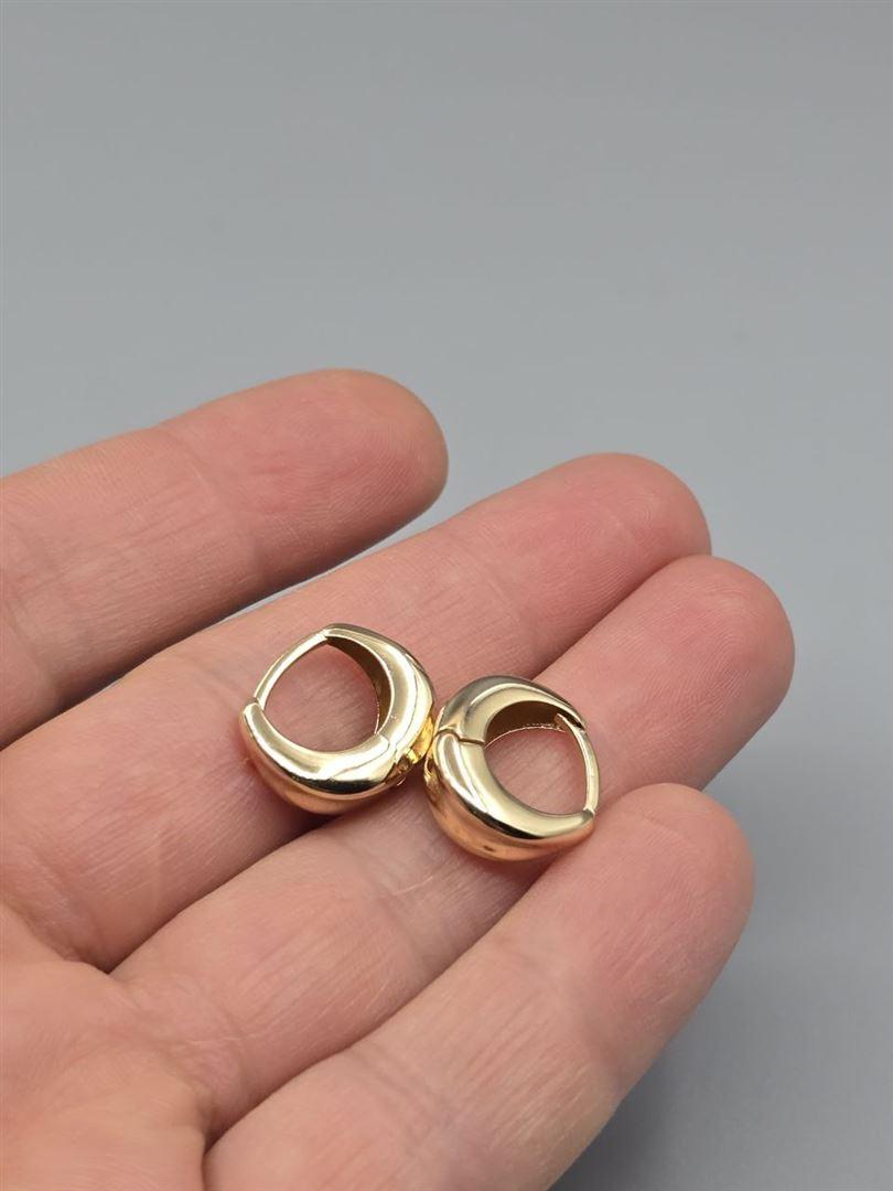 گوشواره ساناز