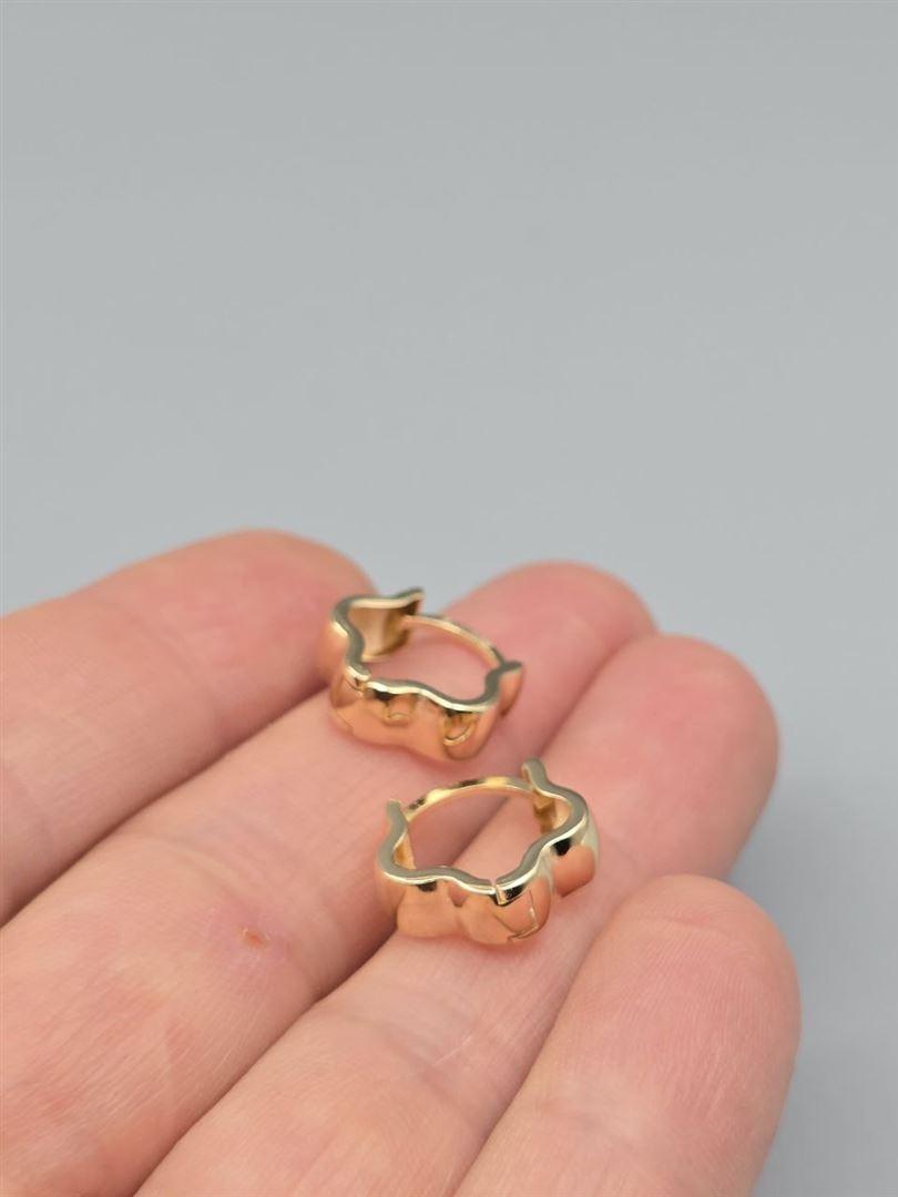 گوشواره ساناز