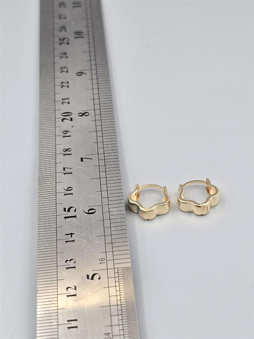 گوشواره ساناز