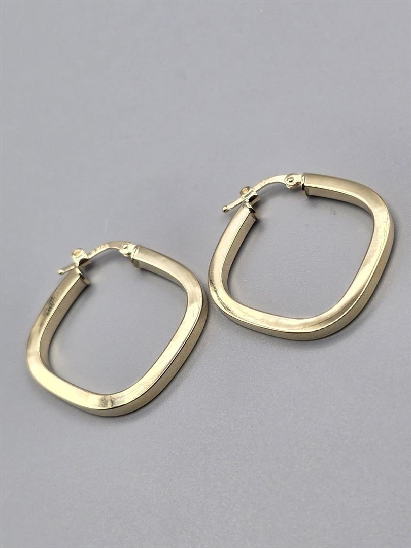 گوشواره والنتینو