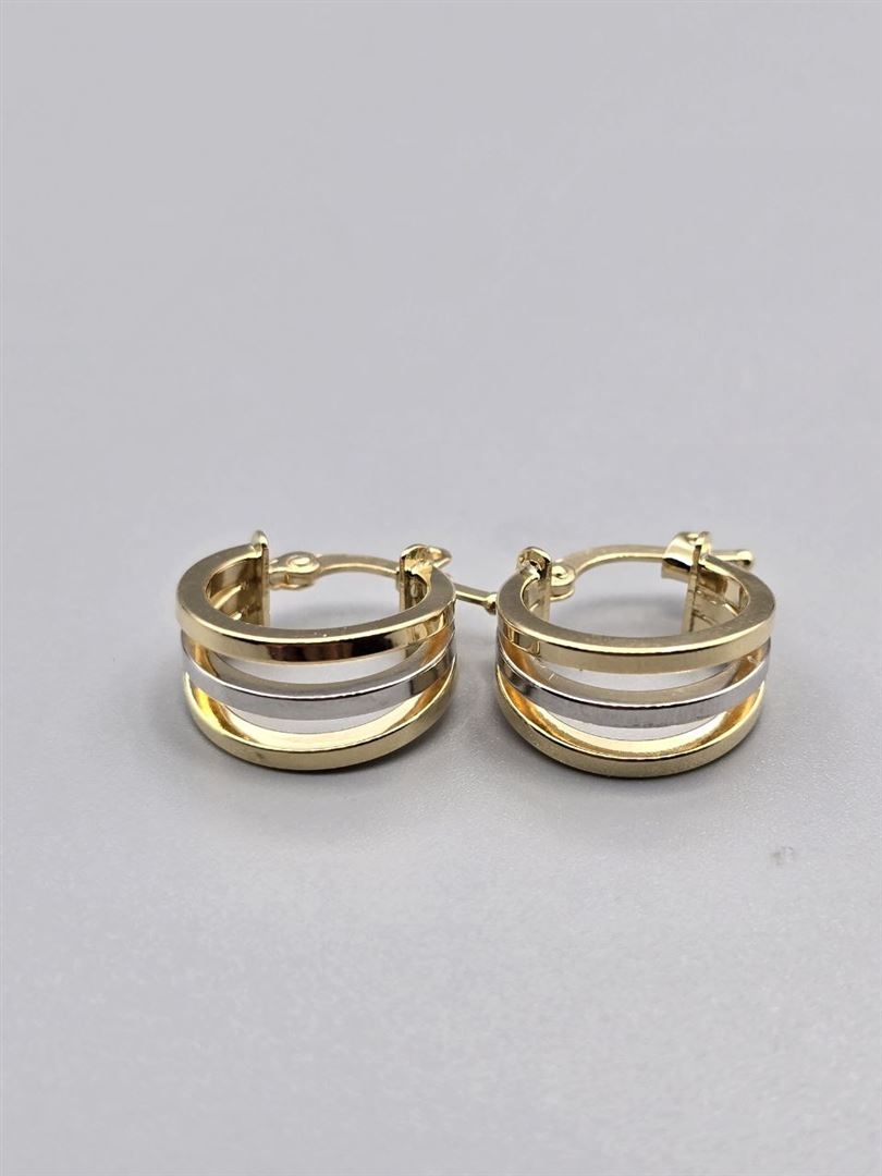 گوشواره ویولت