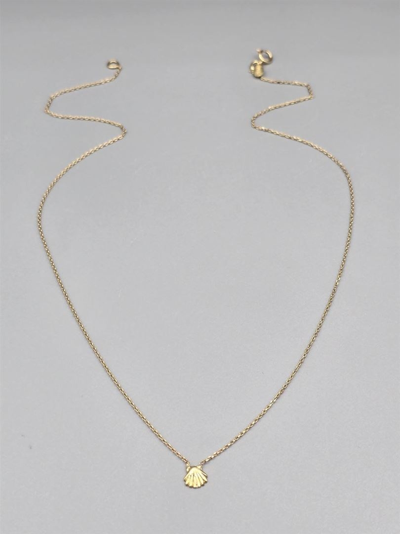 گردنبند صدف