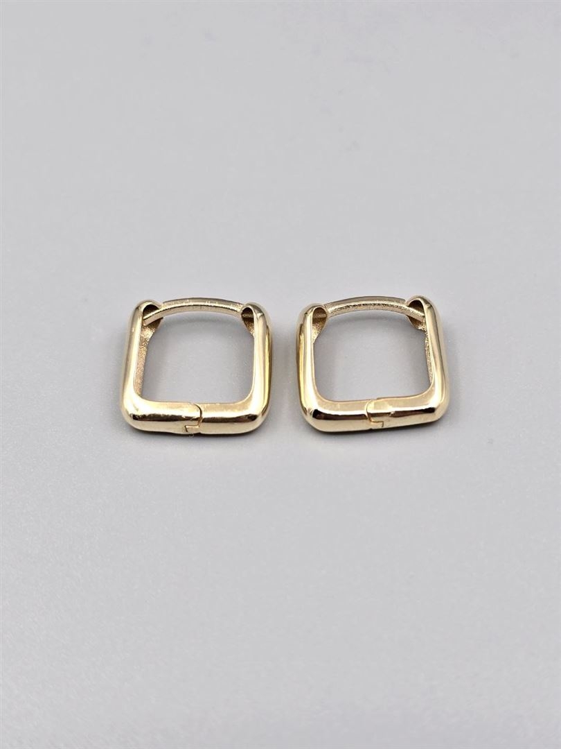 گوشواره ساناز