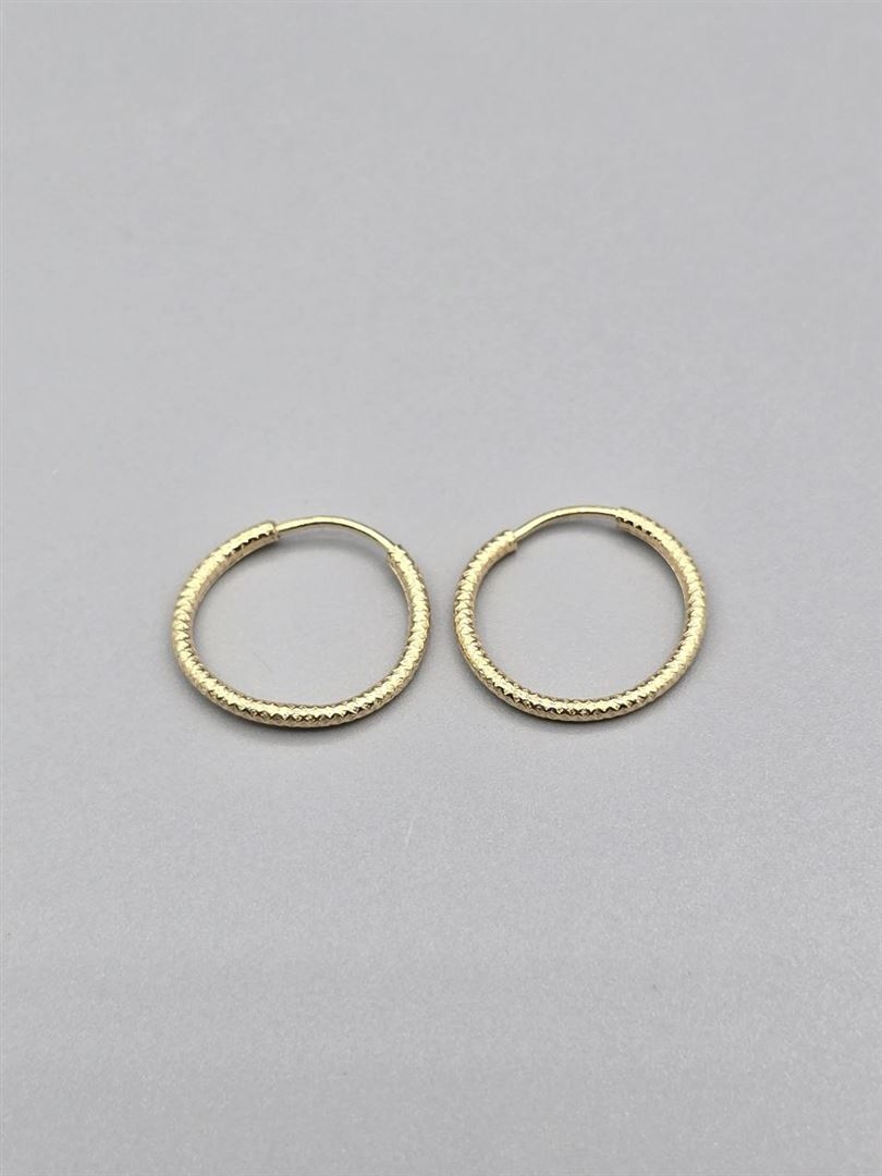 گوشواره حلقه ای