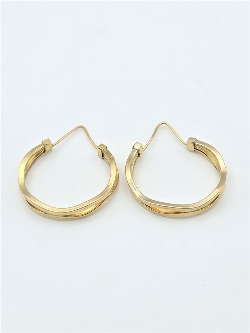 گوشواره فانتزی