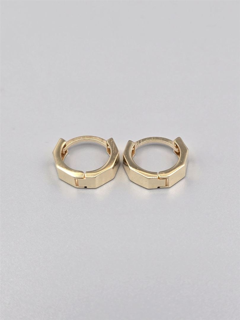 گوشواره ساناز