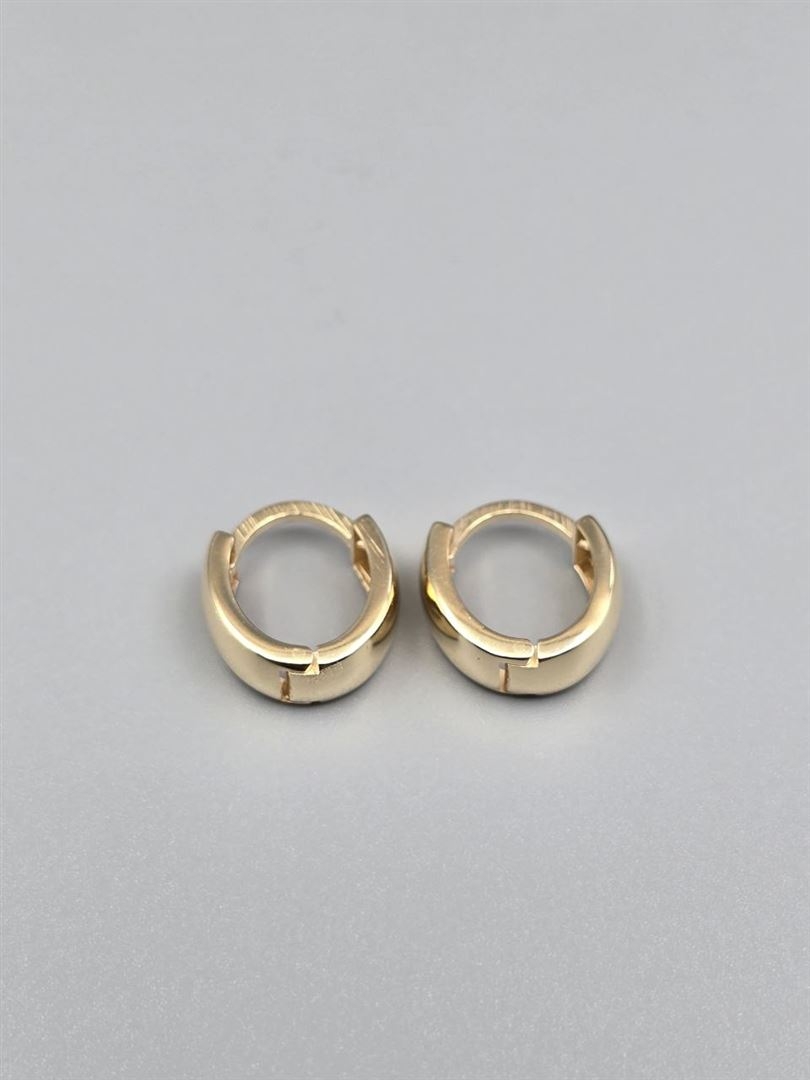 گوشواره ساناز