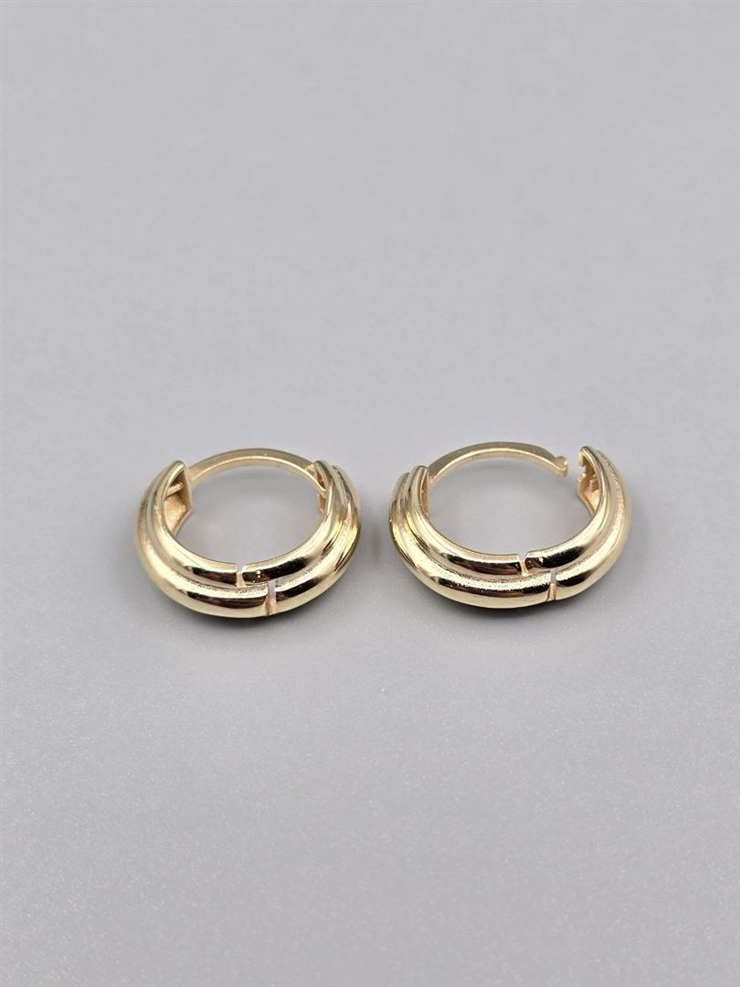 گوشواره ساناز