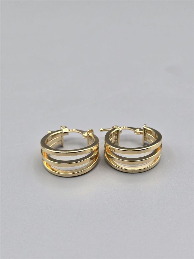 گوشواره ویولت