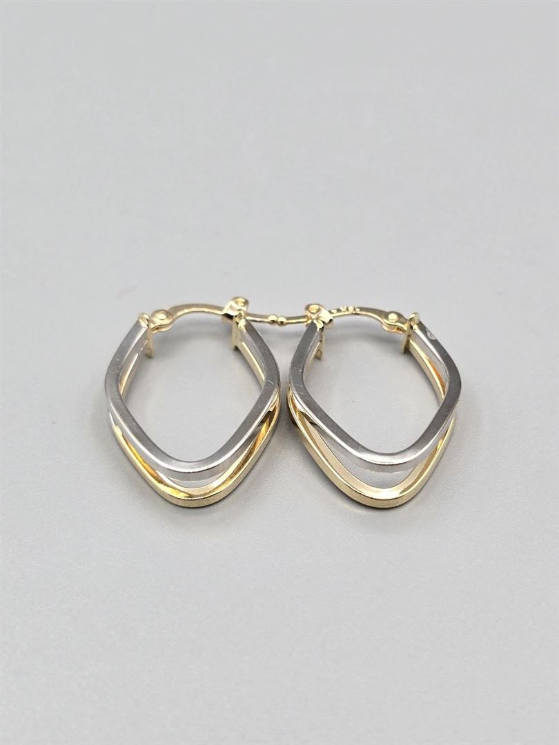 گوشواره ویولت