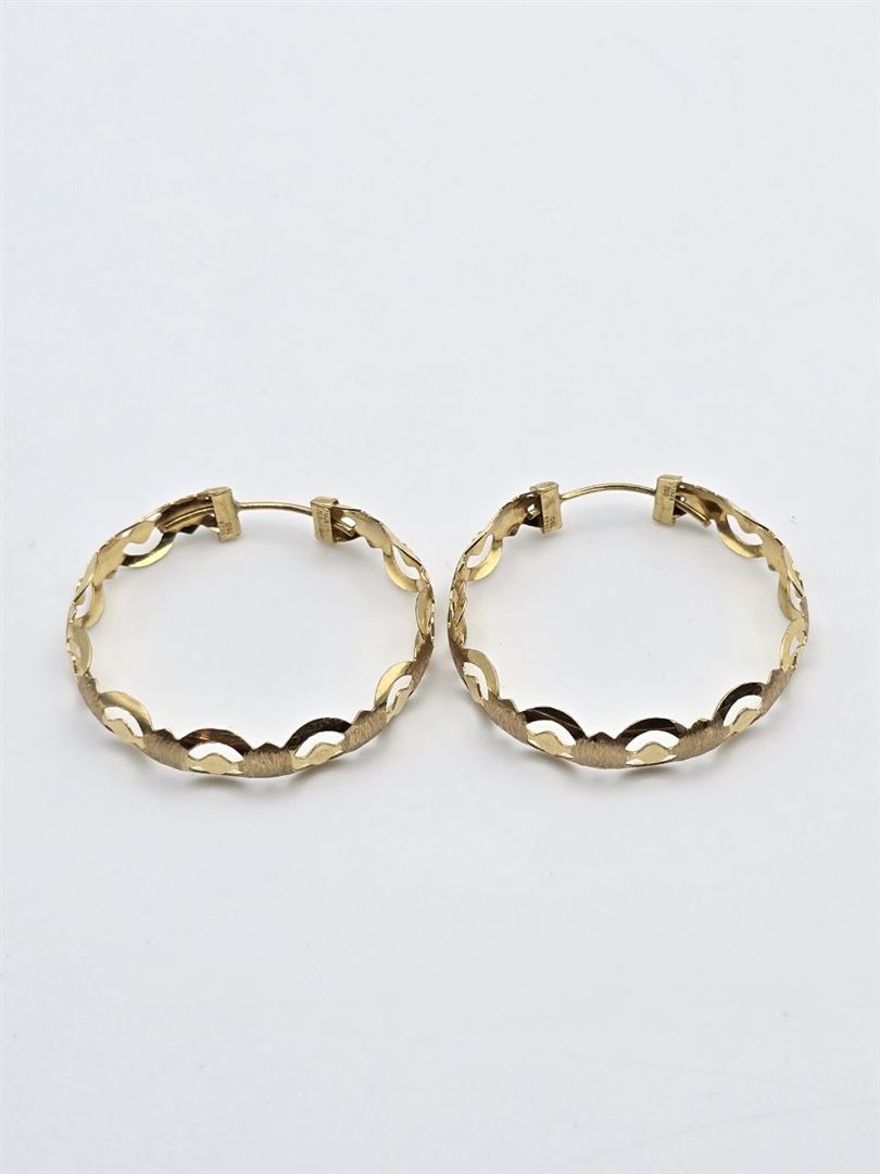 گوشواره فانتزی