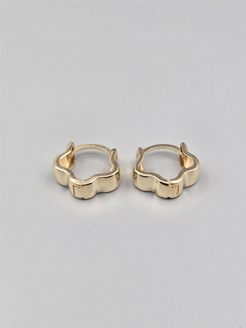 گوشواره ساناز