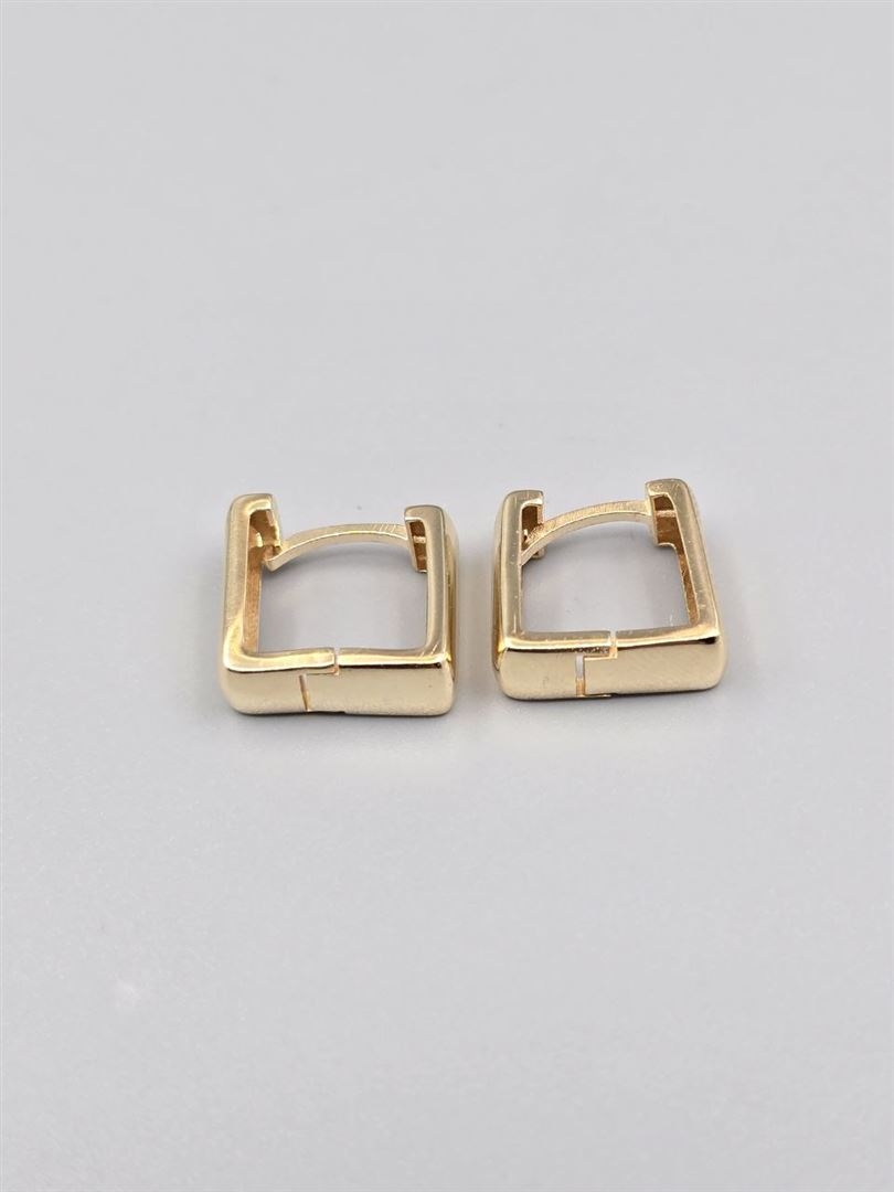 گوشواره ساناز