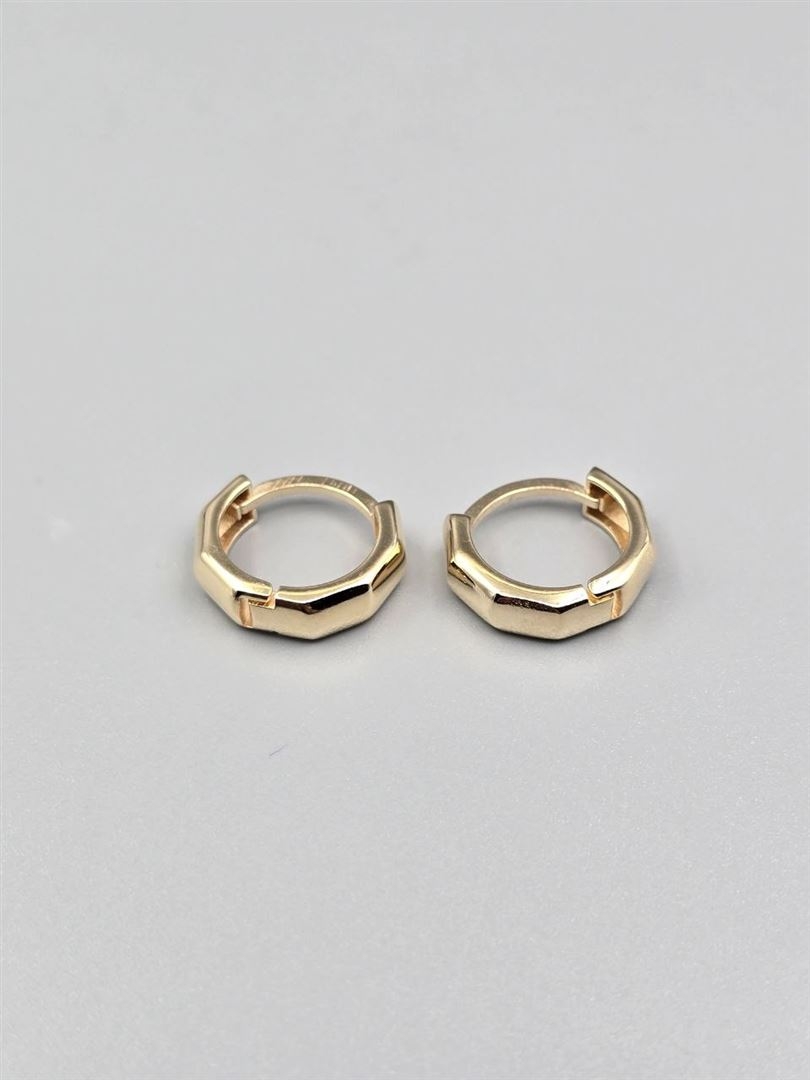 گوشواره ساناز