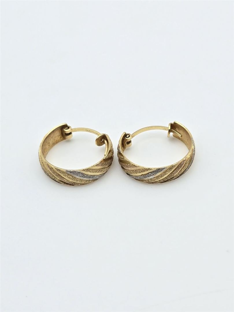 گوشواره رنگی