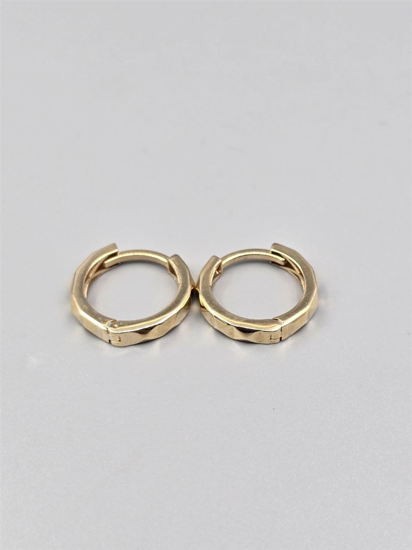 گوشواره ساناز