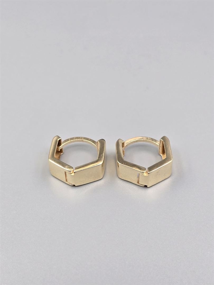 گوشواره ساناز