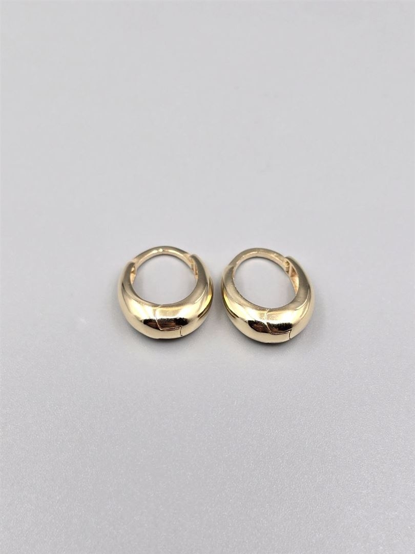 گوشواره ساناز