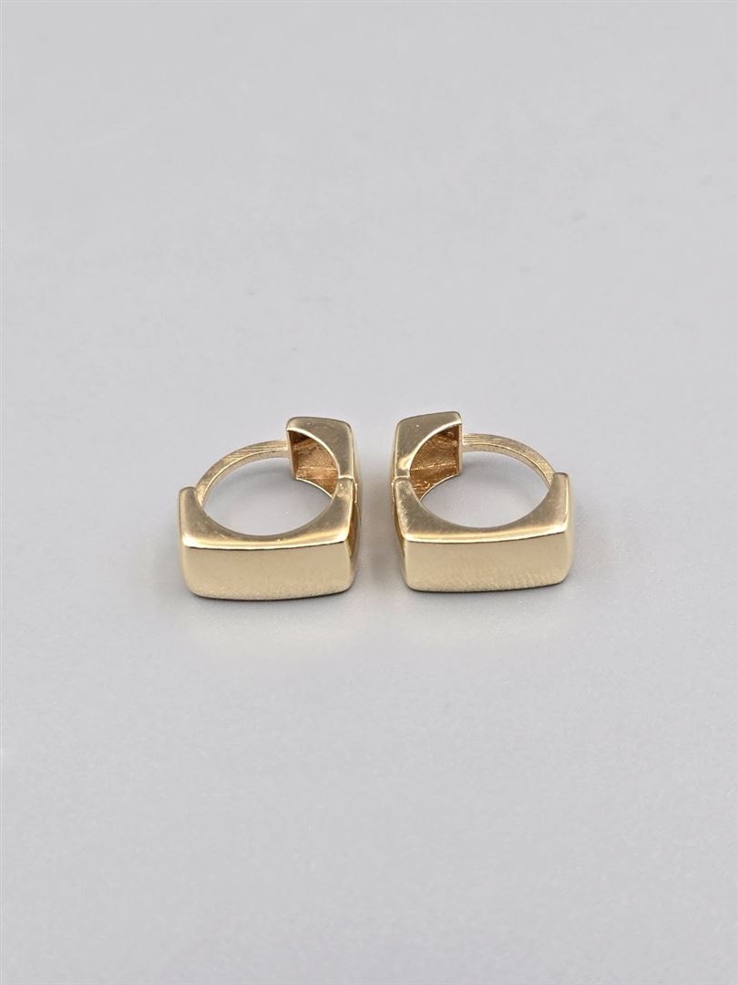 گوشواره ساناز