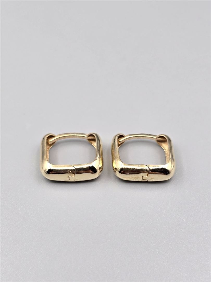 گوشواره ساناز