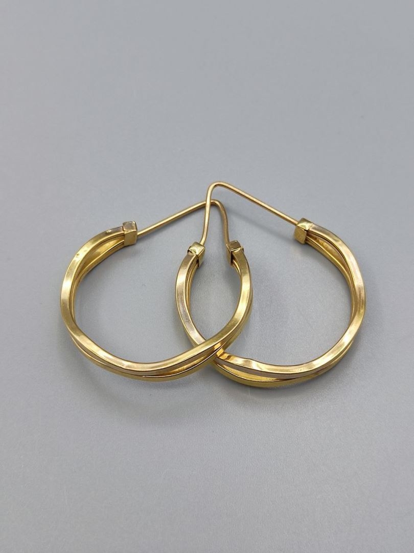 گوشواره حلقه ای فانتزی