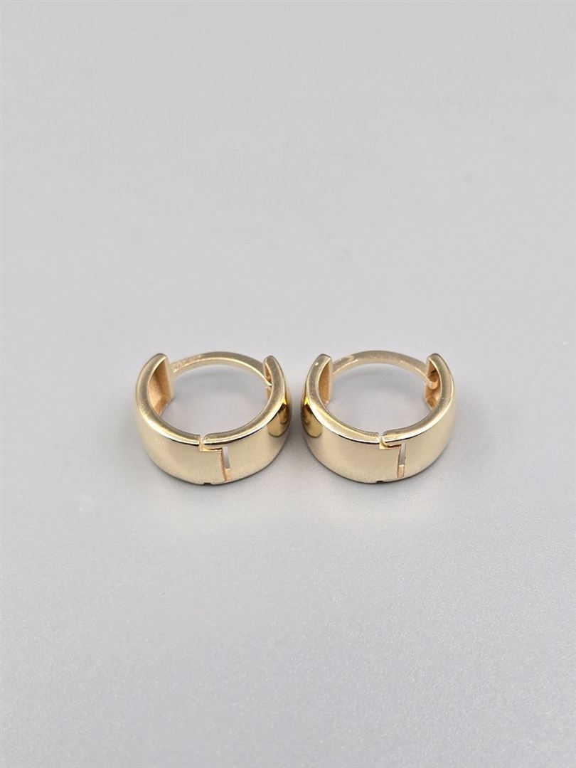 گوشواره ساناز