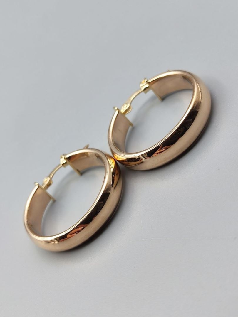 گوشواره ویجینا