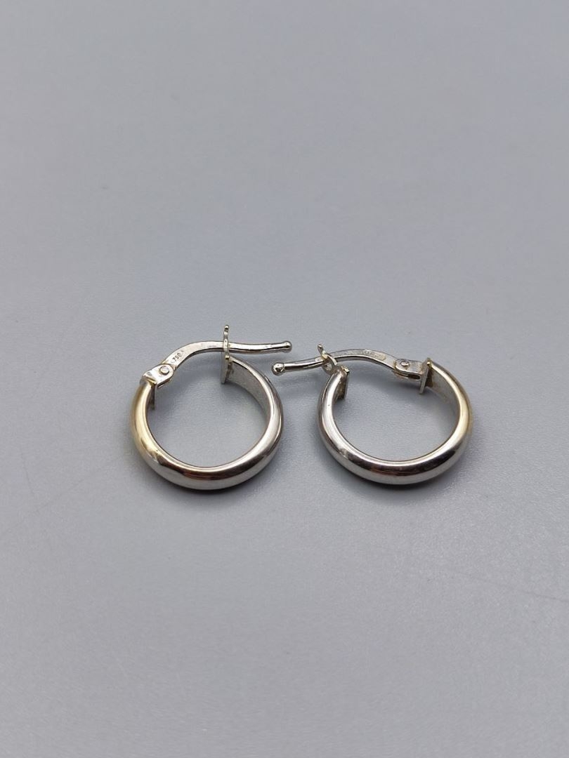 گوشواره حلقه ای