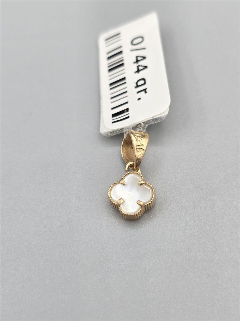 پلاک ونکلیف