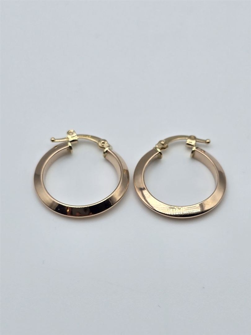 گوشواره اکوا