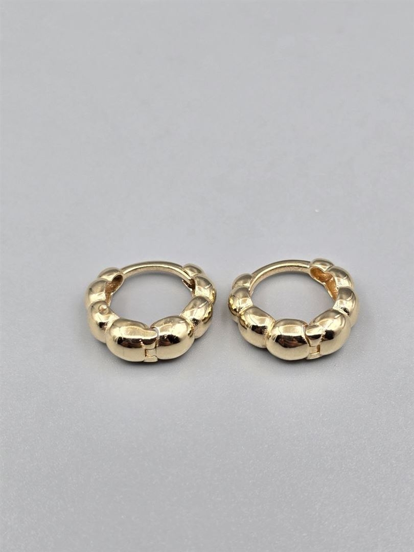 گوشواره ساناز