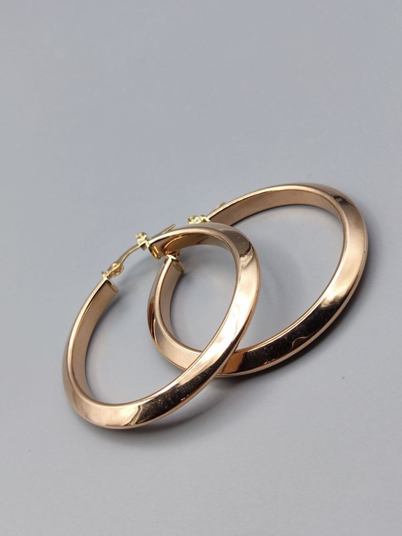 گوشواره ویجینا