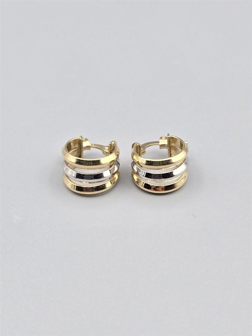 گوشواره ویولت