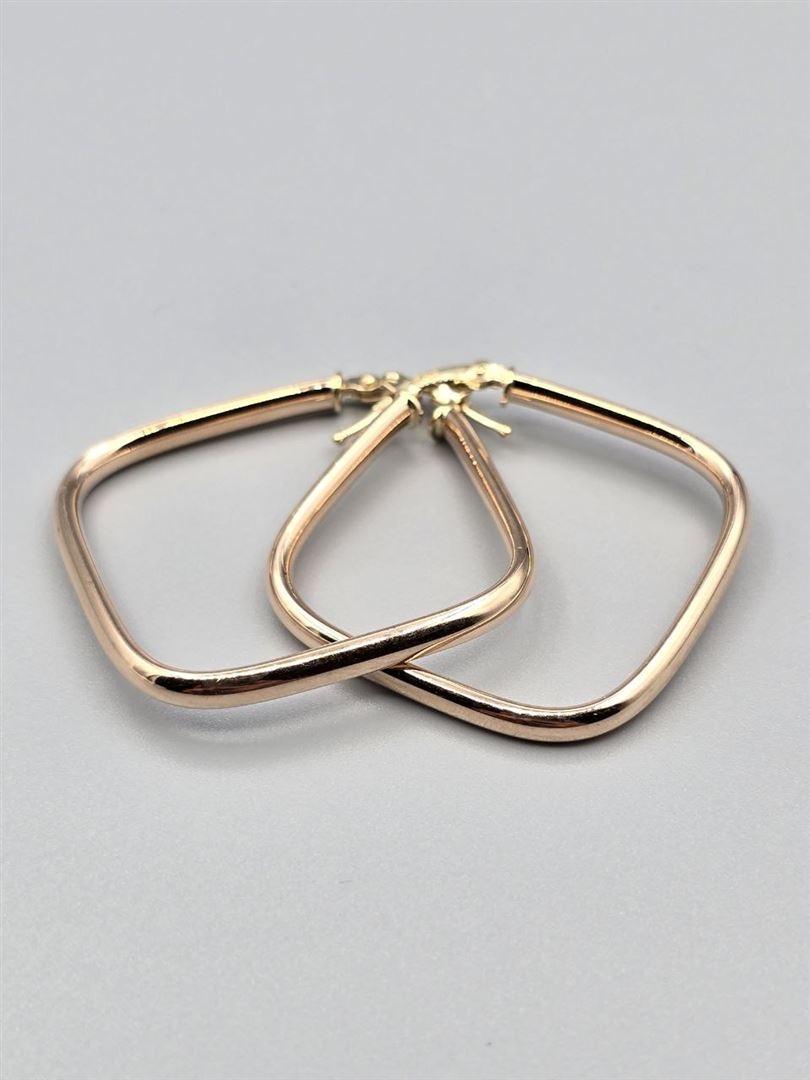 گوشواره ویولت