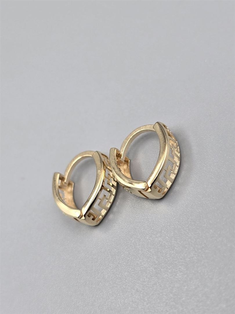 گوشواره ساناز