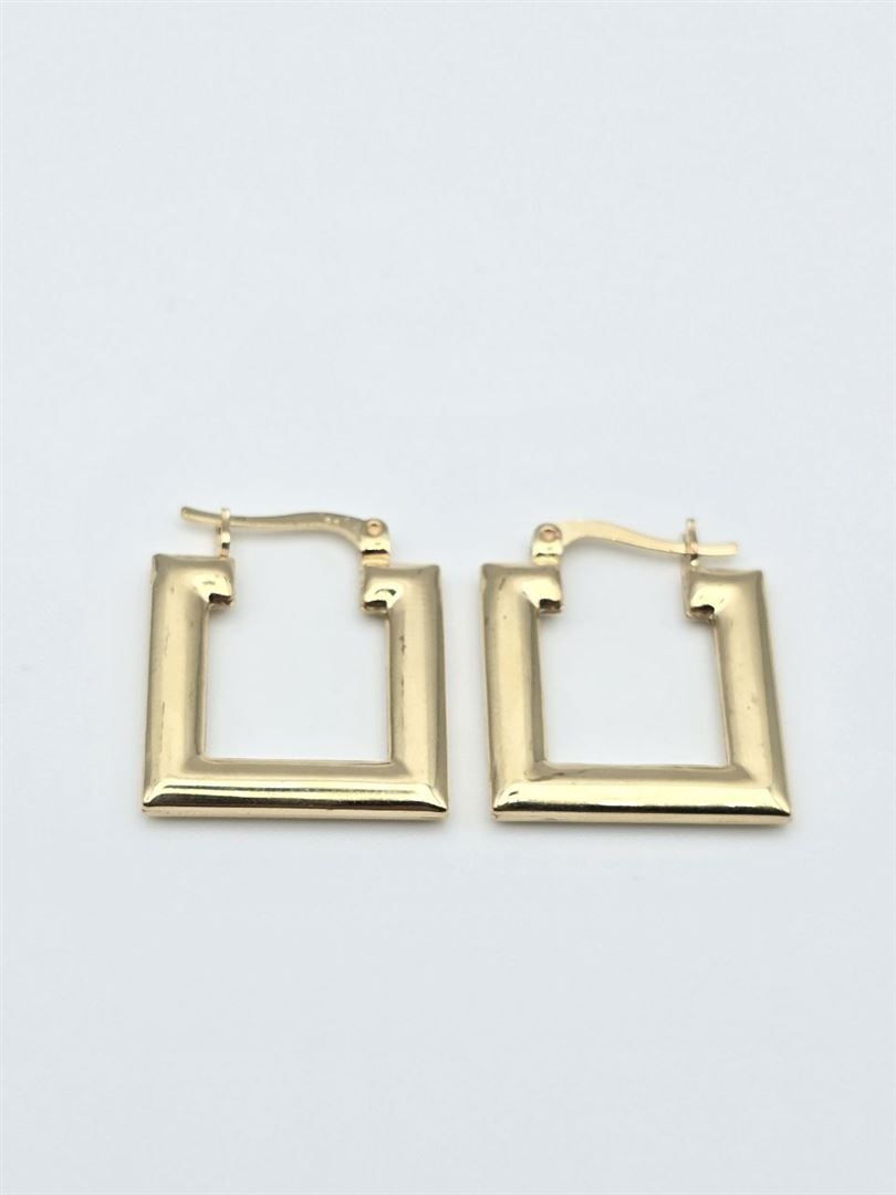 گوشواره اکوا