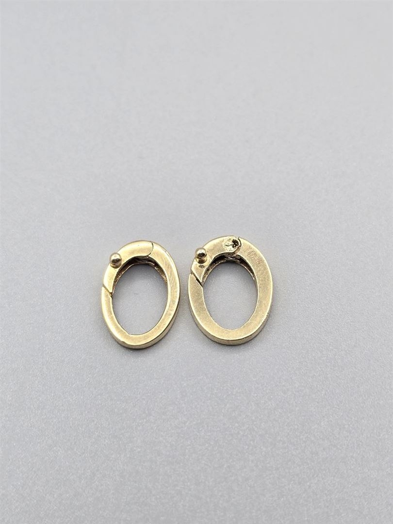 گوشواره فانتزی