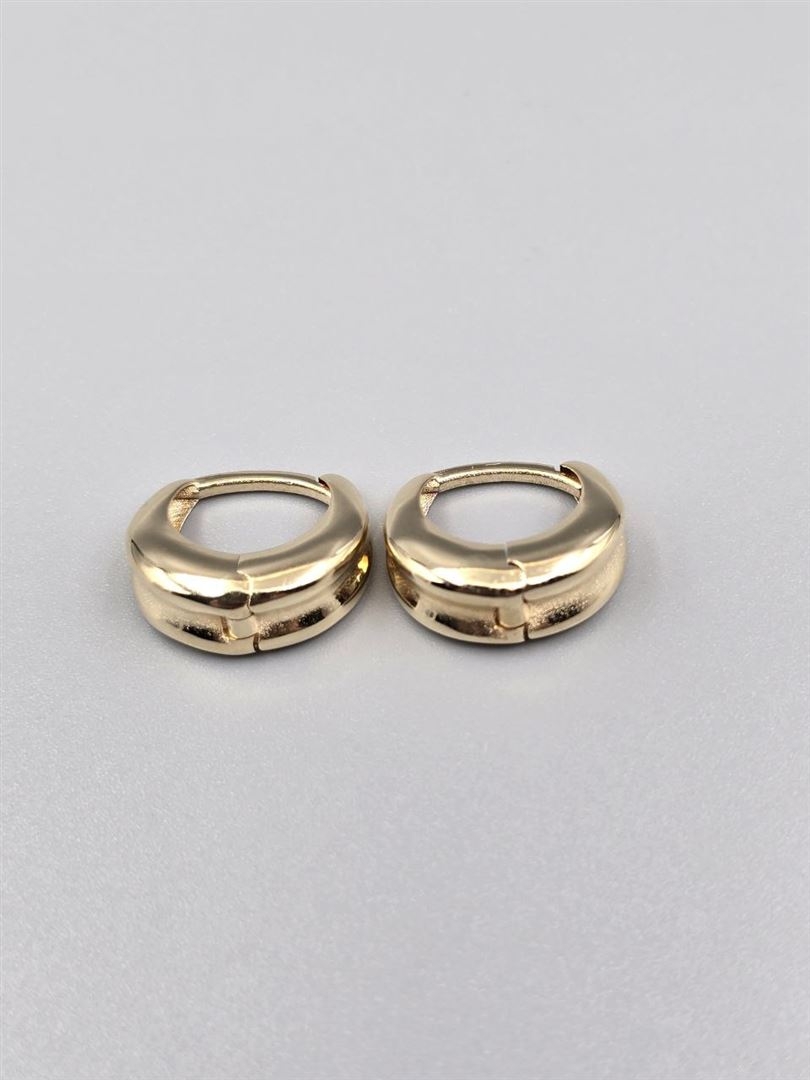 گوشواره ساناز