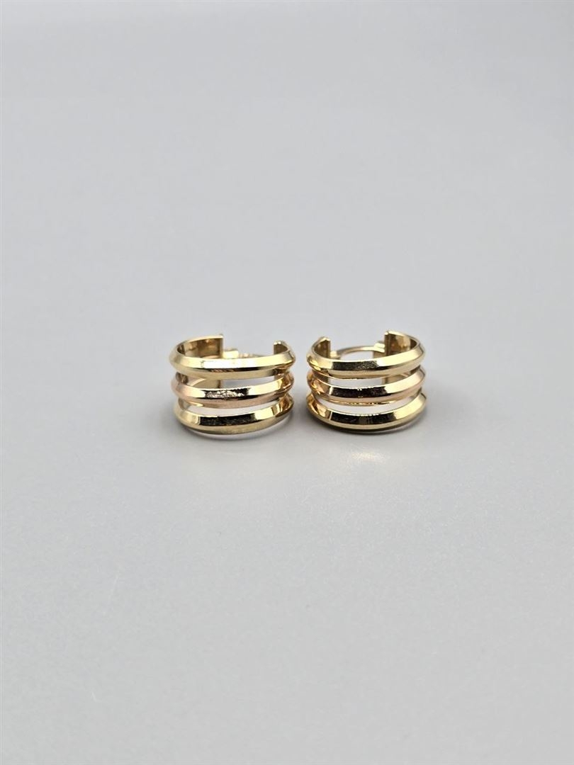 گوشواره ویولت