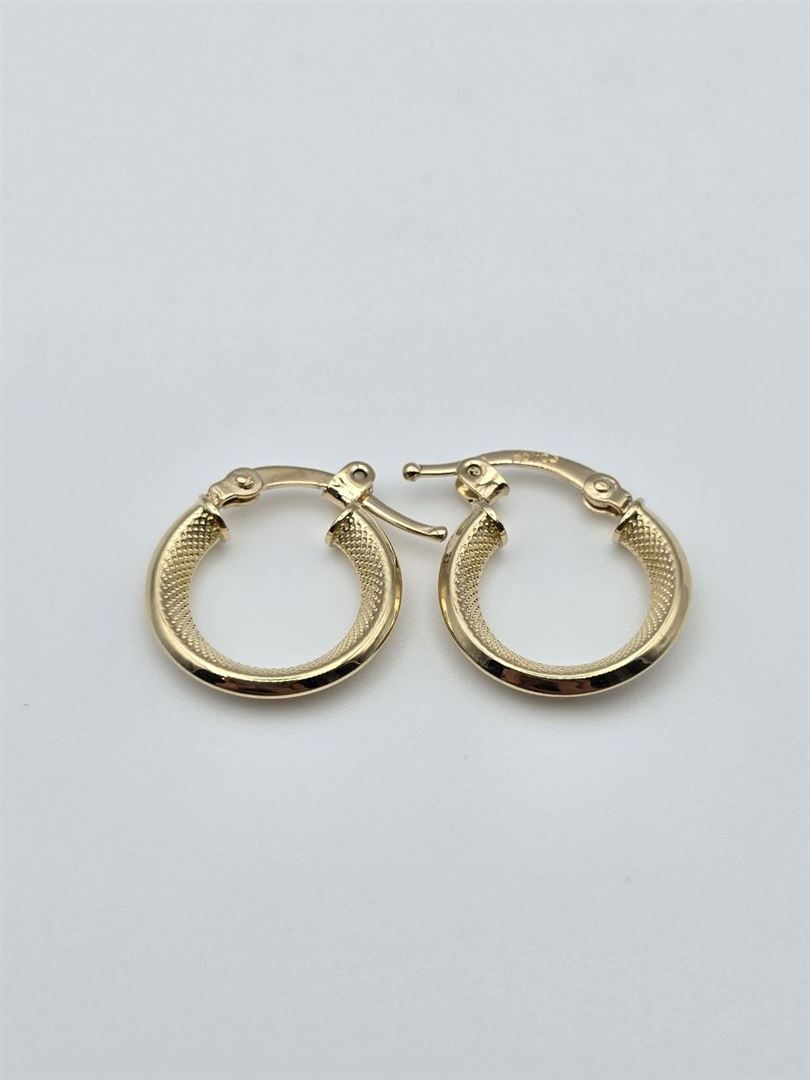 گوشواره اکوا