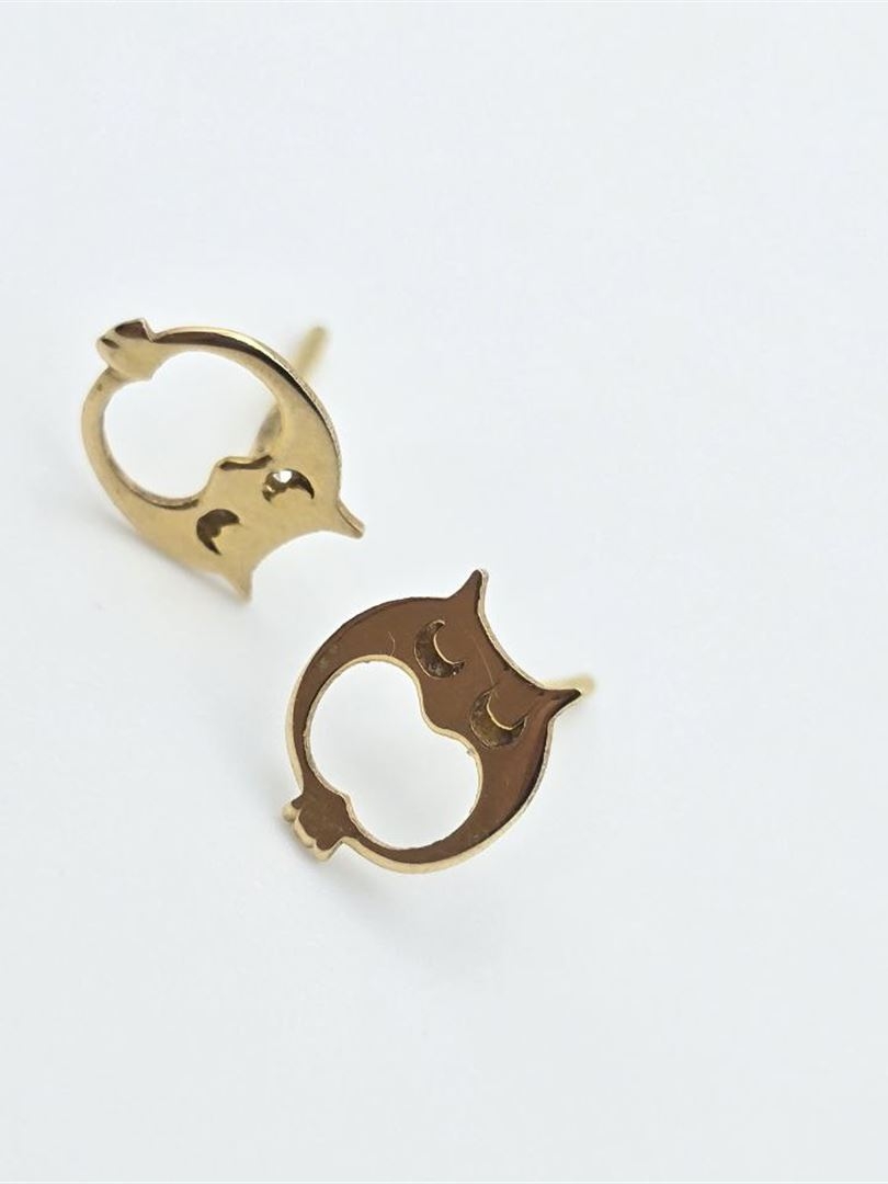 گوشواره فانتزی